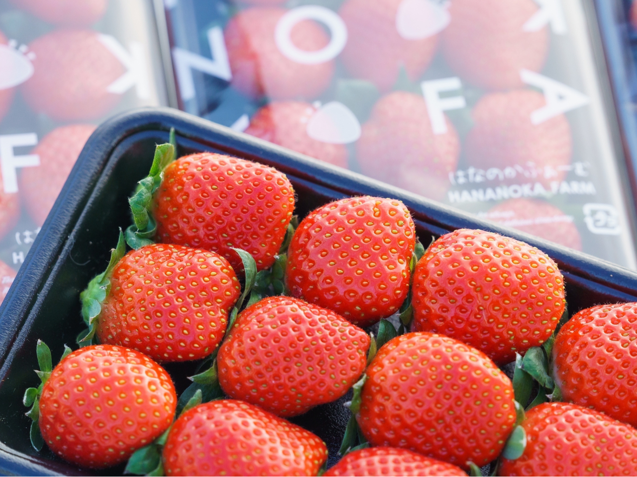 シーズン最後の大感謝祭！！！一律1,500円！！》3～4品種のいちごが45