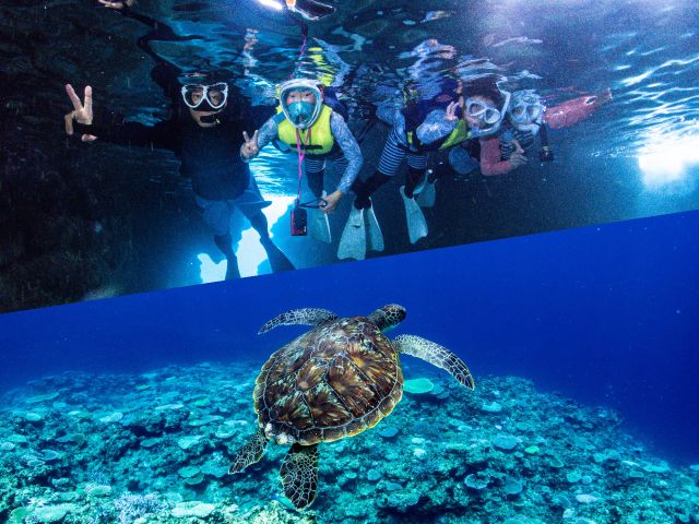 青の洞窟&ウミガメの2ポイントでシュノーケリング!
