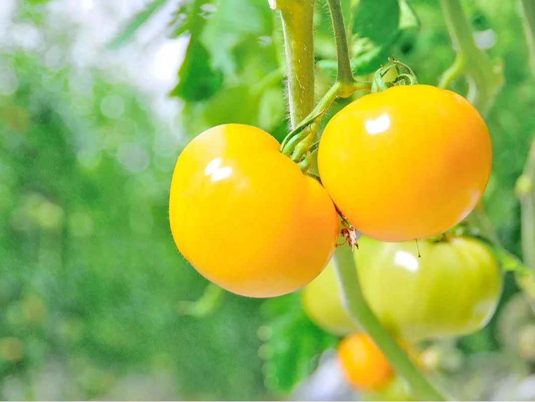 style kitcheńAY҂ƂqluȂv܂