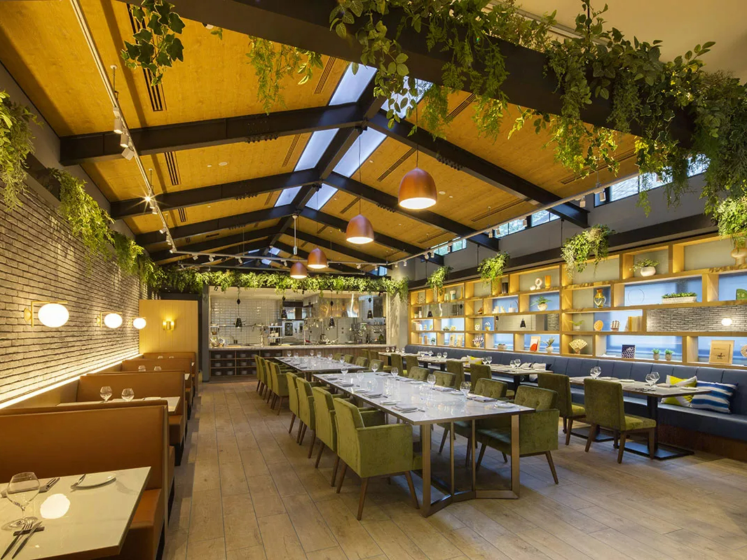 ���Ƒ��₲�F�B��U�������Ȃ�悤�ȁA�C���Ȃ��n�엿���Ől�X���W��