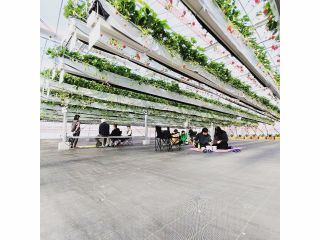 いちごの下でイベント開催、ゆっくり休憩