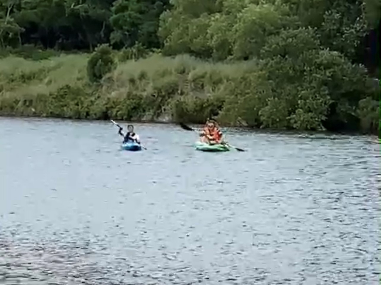 ゆっくり流れる日置川清流