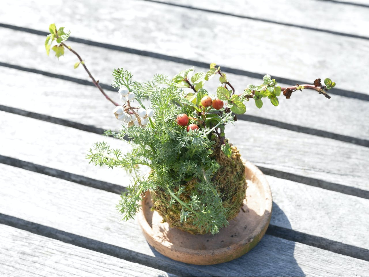 天然ハーブの苔玉作り体験 香川県 高松市 町家をイメージしたミニ複合施設 女性にオススメ 畔家 じゃらん遊び体験