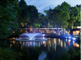 森と池に囲まれた開放的な庭園