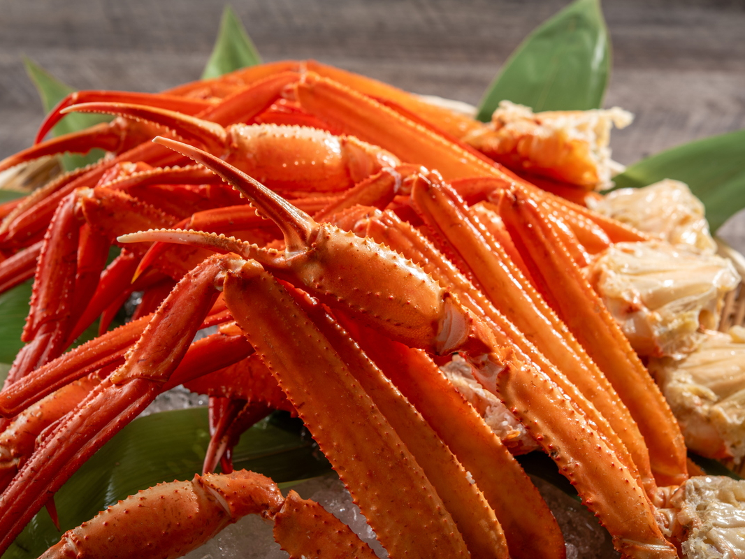 �Q������u��ŊI�H�ו���v