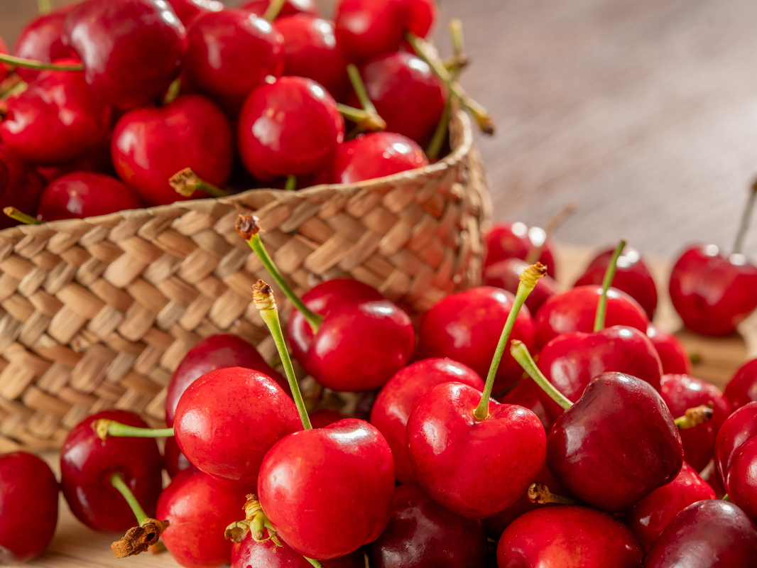 7�E8���̓A�����J���`�F���[���ґ�ɐH�ו���B