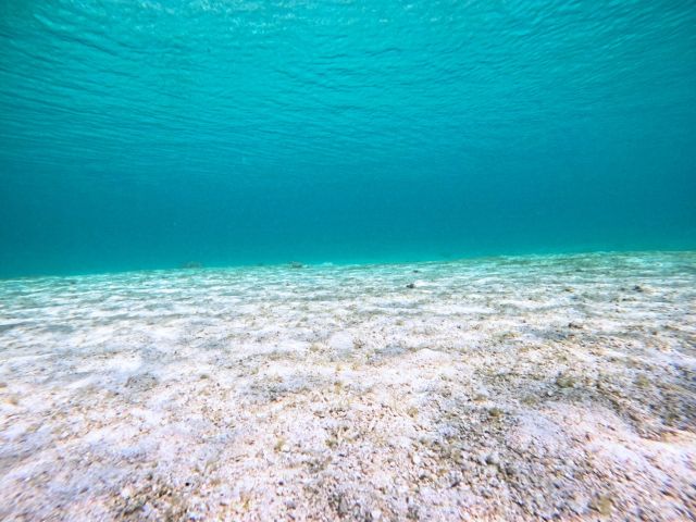 宮古島の水中は透明度抜群!!