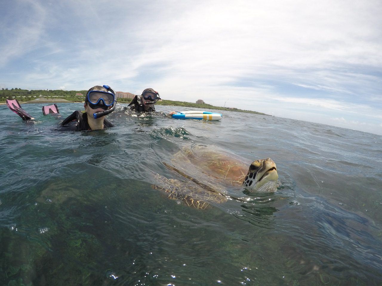 間近で観察できます♪