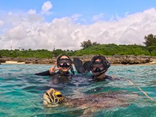 一緒にウミガメと泳ぎましょう♪