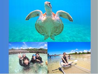 クリアサップもあります♪