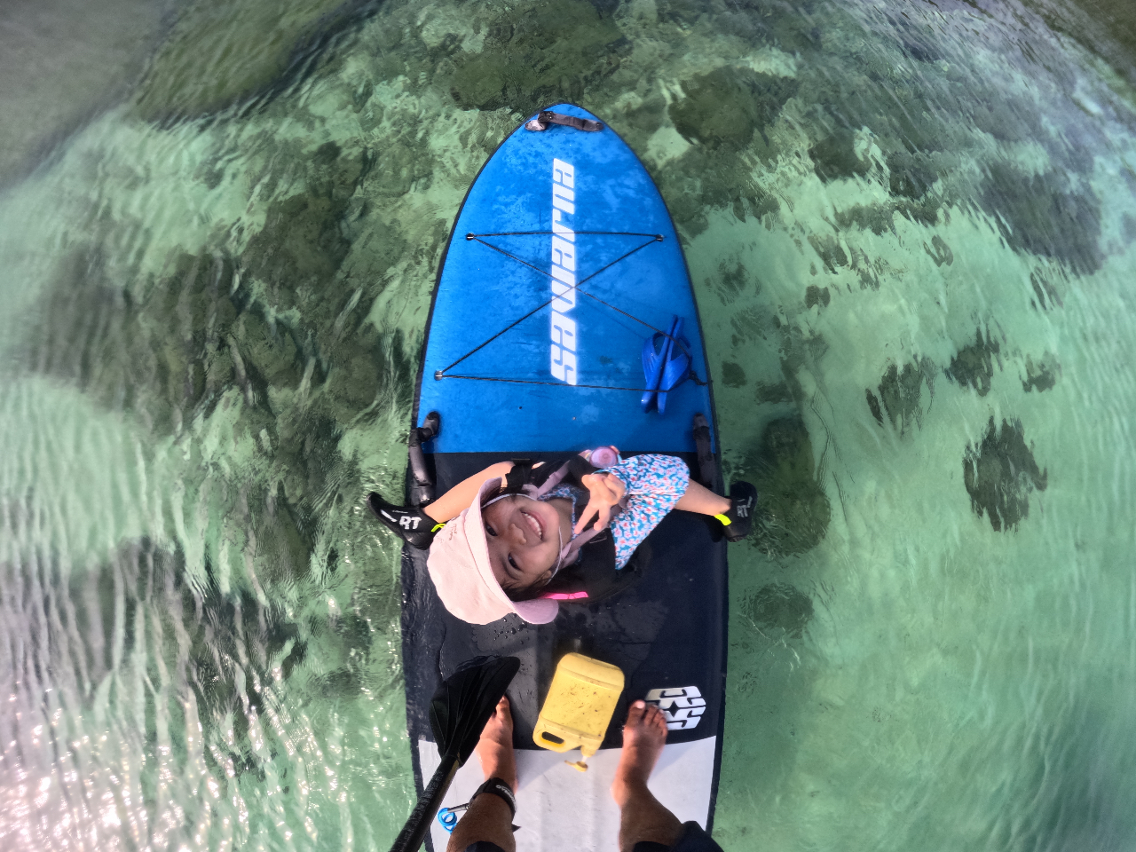 �����Ȃ��q�l���劽�}^_^