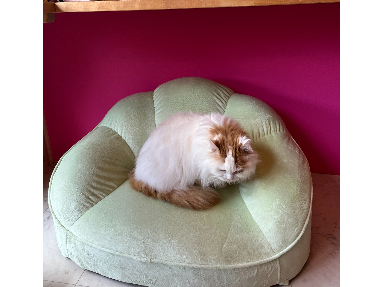 �₳�������i�̃`���b�s�[�a�ł��B