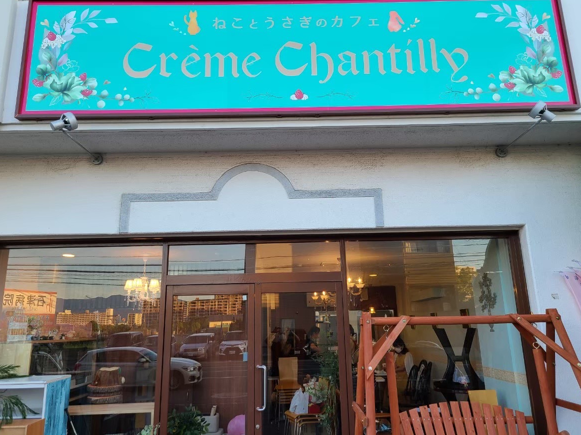 �O���[���̊Ŕ��ڈ�ł��B