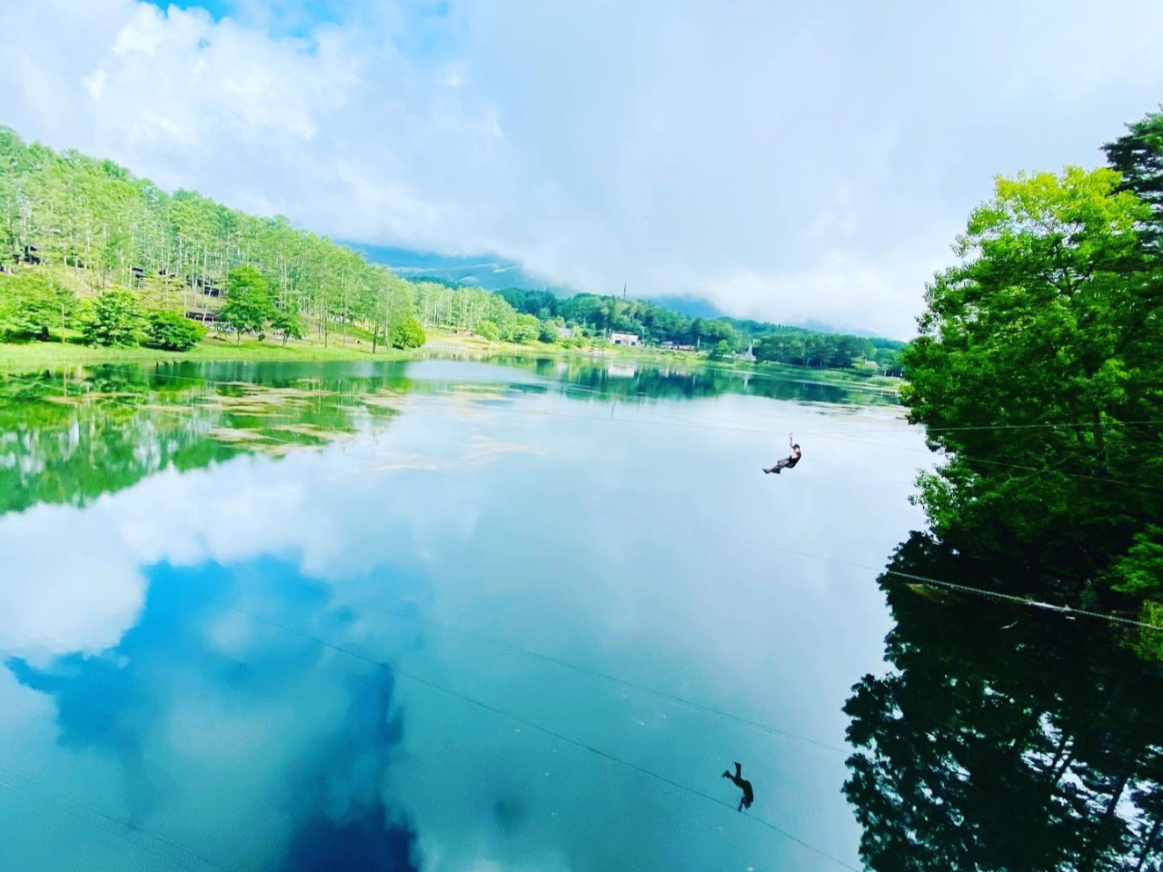 �t�H���X�g�A�h�x���`���[����