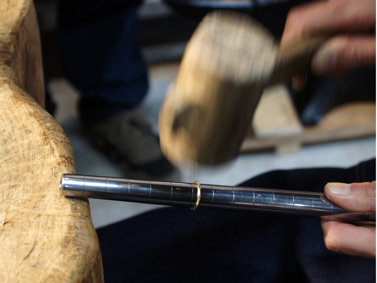 {iIȒZ@ŁAw֍ׂ̂Ă̍Ȟł܂B