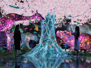 チームラボフォレストは捕まえ、観察し、解き放つ「捕まえて集める森」と、身体で立体的に考える「運動の森」からなる新しいミュージアムです♪