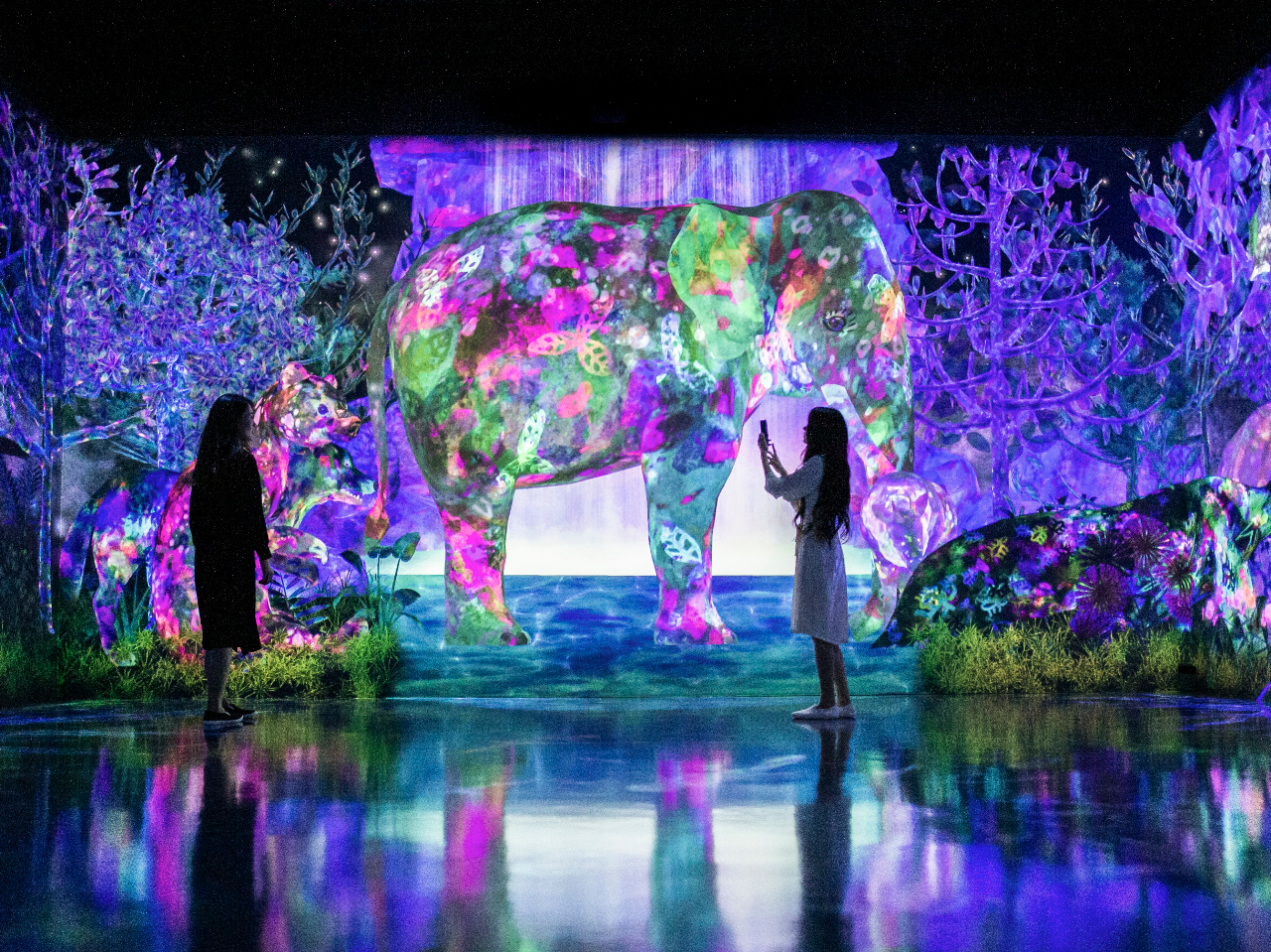 `[{tHXg͕߂܂Aώ@Au߂܂ďW߂XvƁAĝŗ̓Iɍlu^̐XvȂV~[WAł