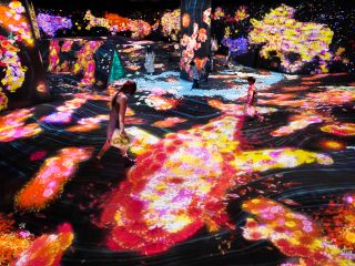 チームラボフォレスト*鼓動する谷のグラフィティネイチャー*みんなが描いた様々な生き物たちが目の前に現れ動き出す。