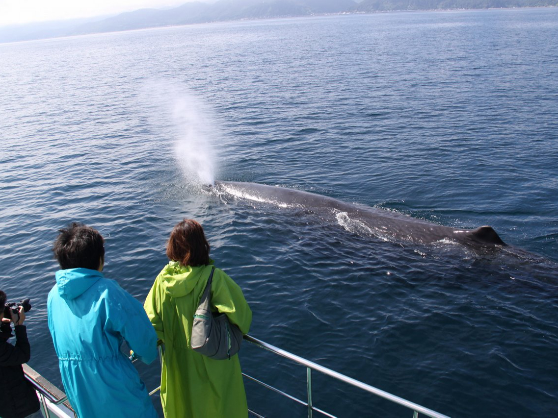 }bRENWA傫̂͑̒PW[gI