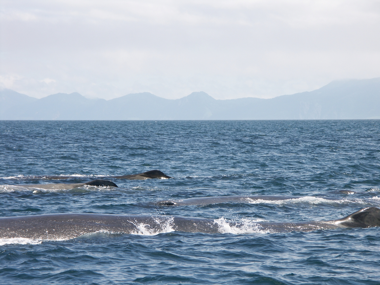 }bRENWQŊmFł邱Ƃ܂