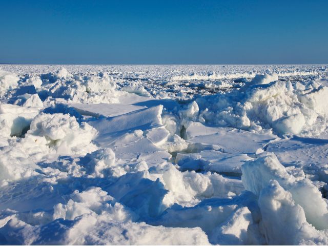 根室海峡を覆う流氷原