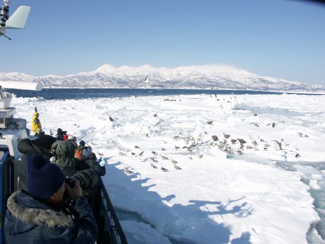 プロからセミプロまでこだわりのカメラで撮影