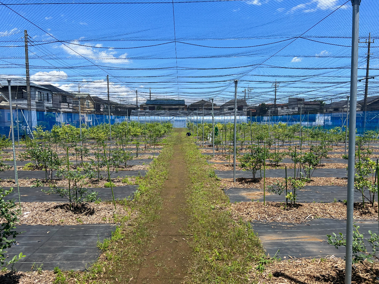 Nɂ͐Vu[x[ʌJ\łBRTO{܂B