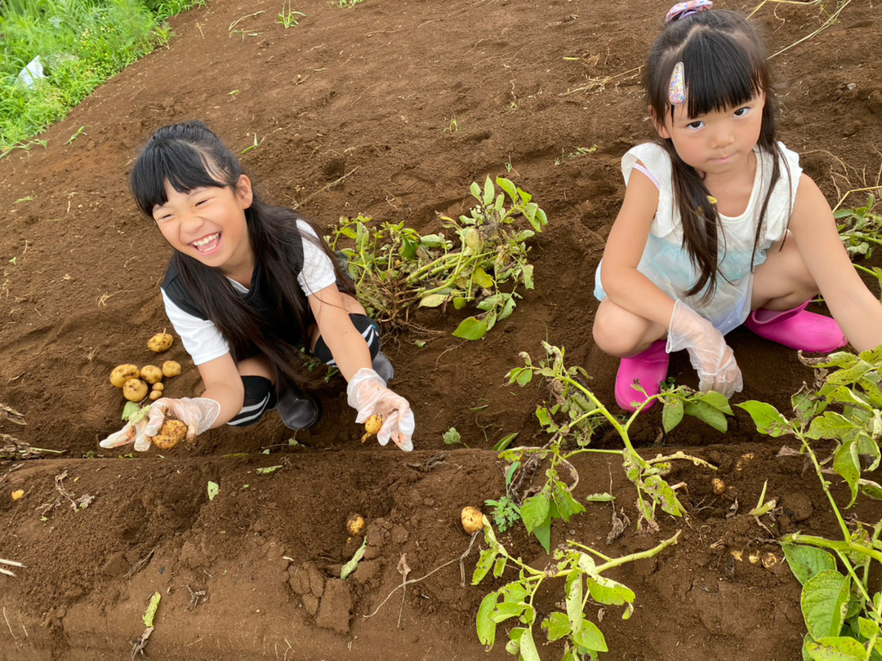 u[x[̑AɂĂ͂ႪA}AƂ낱ňł܂B