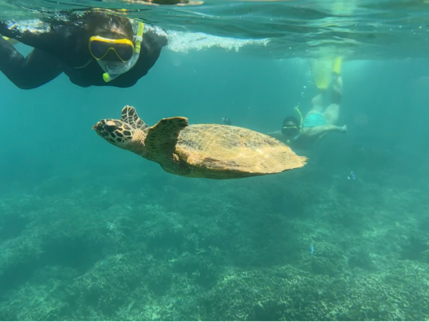 ŗBE~KɏoX|bgł̃Vm[PO