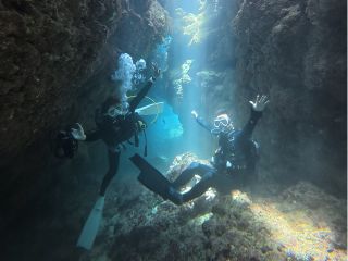 ライセンス保有者向けファンダイビング