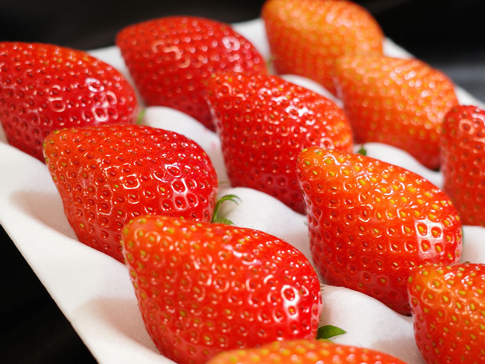 ̂̕i킪I}3i퐶j̎łA\iێłiŁA悢Ђ߂Ƃ̗RƂȂ܂B