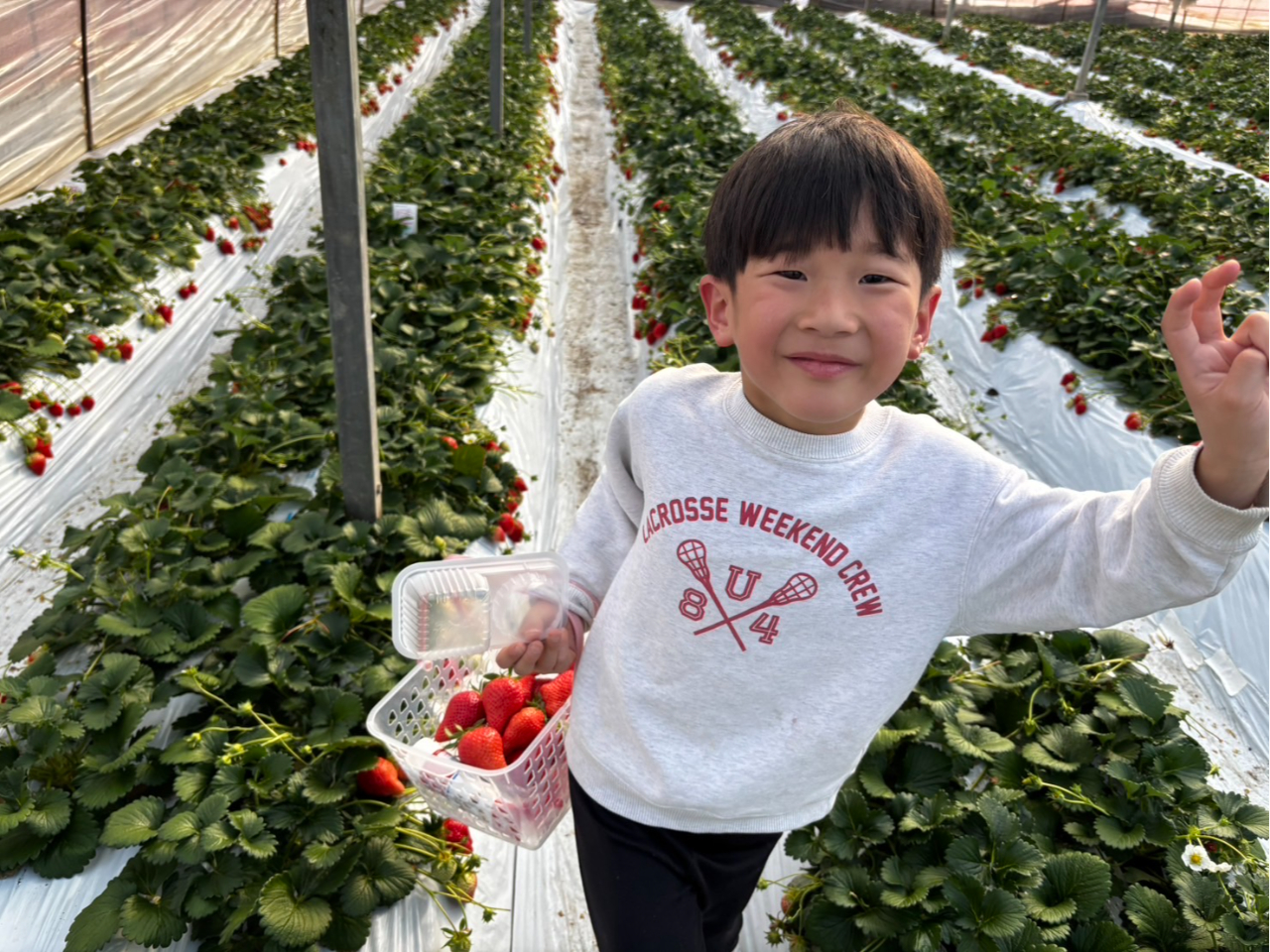 q܂ɂE݂₷Ⴂʒuɂ܂B500؂̍LȃnEXŒO߂ĈĂ悢Ђ߂40ԂՂƂオ肭