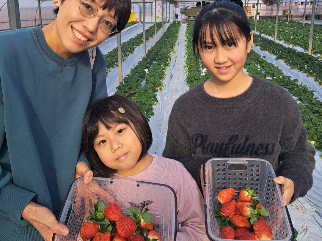 �����g�œE�񂾂������̂������A����ʂ蔄��ɂ�OK�I���������p�ӂ��Ă���܂��̂ŁA����]�̕��͂����p���������B