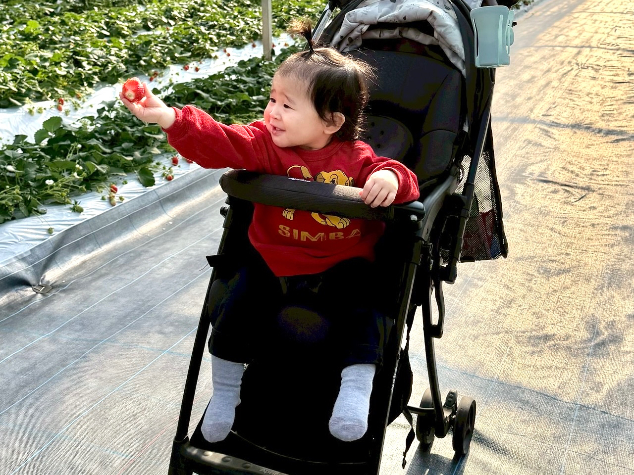 500�؂̍L���n�E�X�͒ʘH���L���A�x�r�[�J�[���y�X�I���q���ܘA��ɂ���ς��D�]���������Ă���܂���