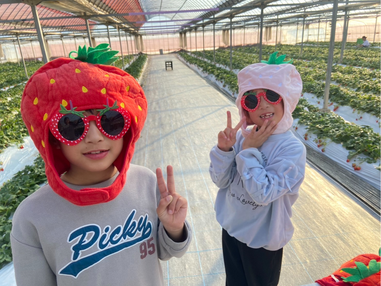 500�؂̃n�E�X�Łu��悢�Ђ߁v��40���ԐH�ו���I�������̂��Ԃ蕨�⃁�K�l�Ȃǂ��킢�����������p�ӂ��Ă���܂���v���o�Ɏc��y���������Ԃ����߂�����������