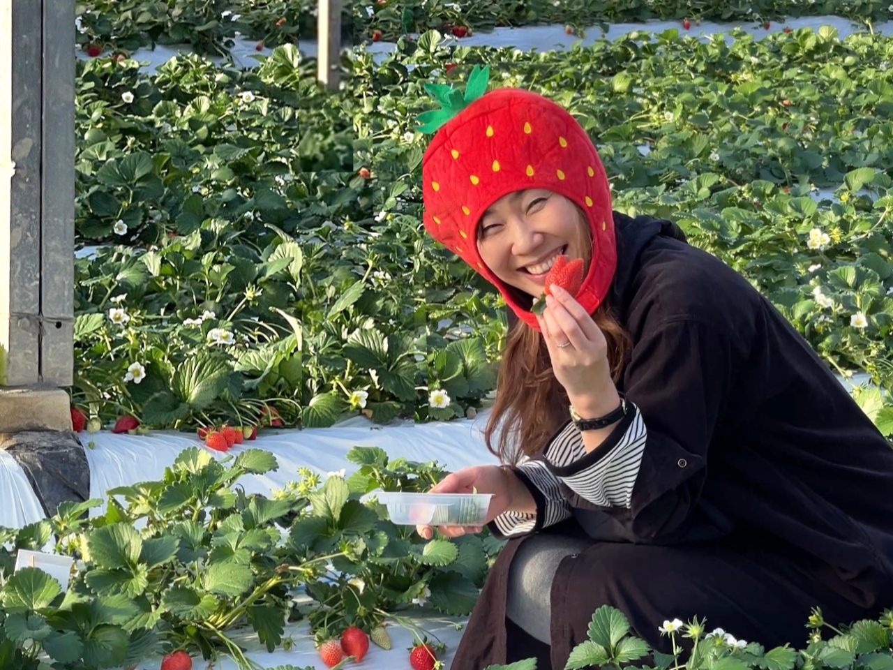 �L���n�E�X�ŐH�׍��̂������������Ă��������ˁ�X�[�p�[�Ȃǂɂ͕��Ԃ��Ƃ̂Ȃ��u���n�������v�B��������肾���炱�����킦��{���̔��������ł��I