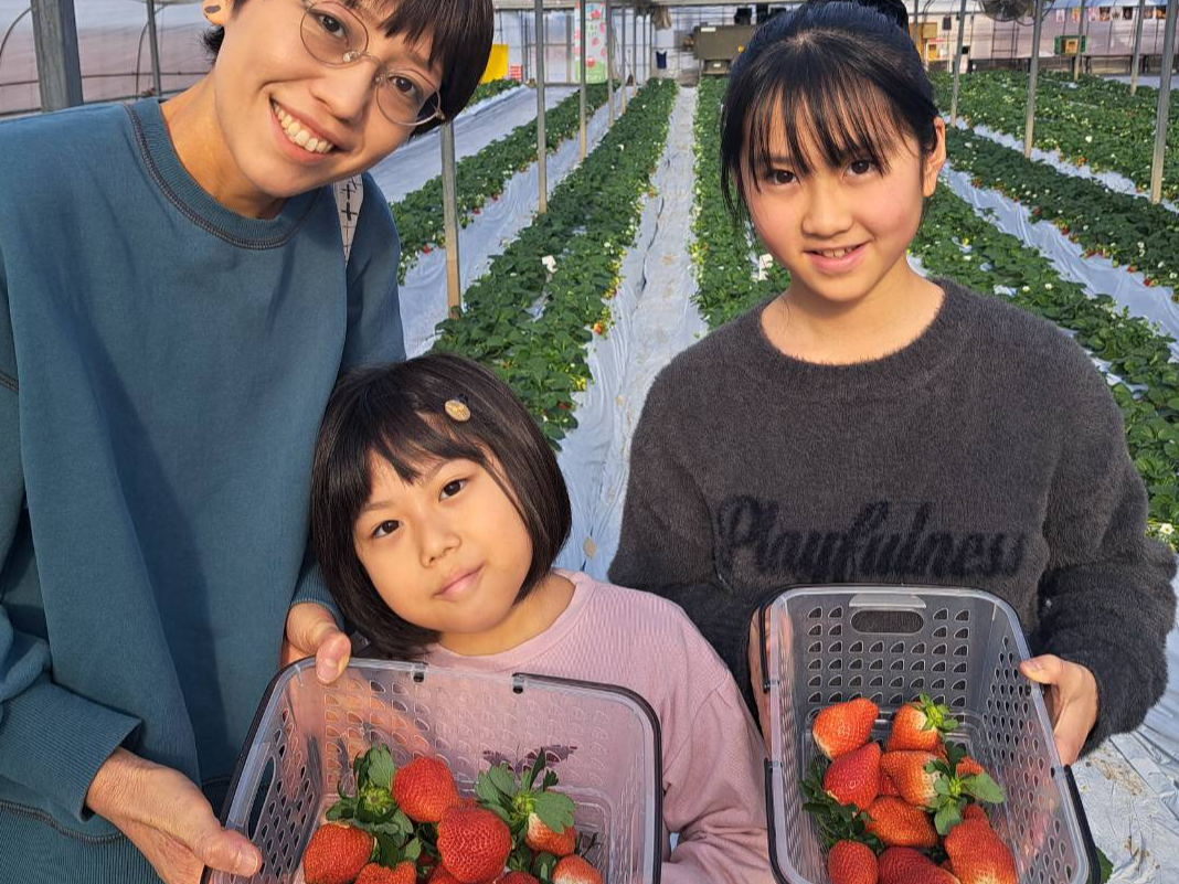 �����g�œE�񂾂������̂������A����ʂ蔄��ɂ�OK�I���������p�ӂ��Ă���܂��̂ŁA����]�̕��͂����p���������B