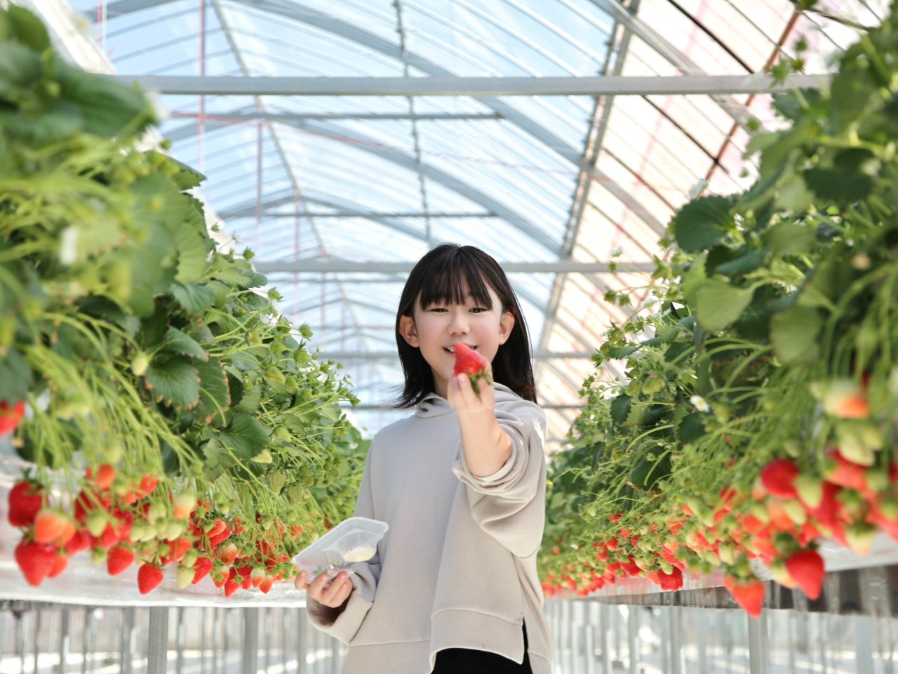 300�؂̍L��ȃn�E�X�􂩂��܂��Ɋy�X��������肪�y���߂鍂�ݍ͔|�̃n�E�X���������܂����B��ܗ��̂��铖���̂�悢�Ђ߂��A���Ȃ������ς������������肭�������B