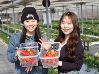 ご自身で摘んだいちごのお持ち帰りも量り売りにてOK!かごをご用意しておりますので、ご希望の方はご利用ください。