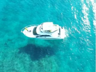 LCIのラグジュアリークルーズで東京観光をお楽しみください♪