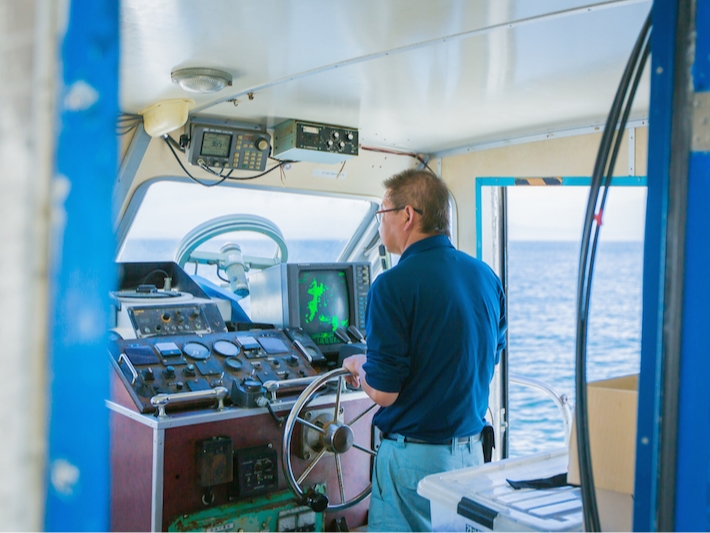 12月~観測率99%♪♪《口之津イルカウォッチング》1年を通して約300頭の