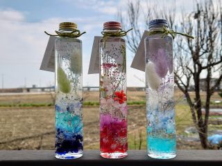 ハーバリウム 大サイズ