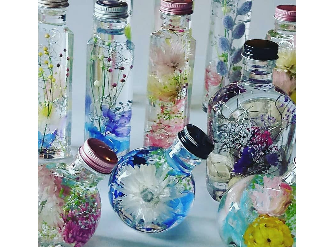 �n�[�o���E���̌�