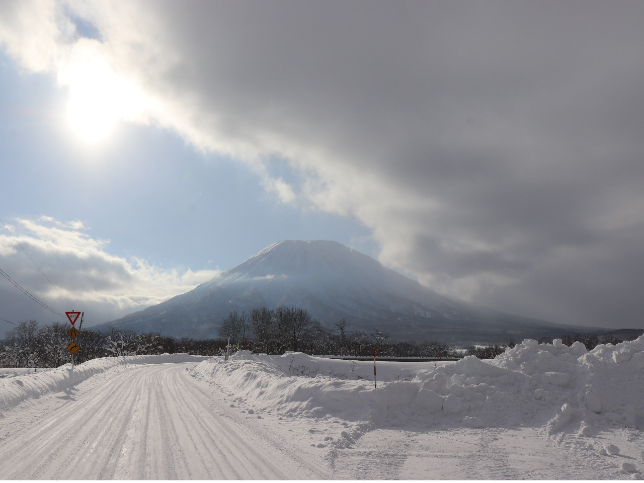 YȗrR̘[ł̑̌łIVCǂΑfGȎʐ^B