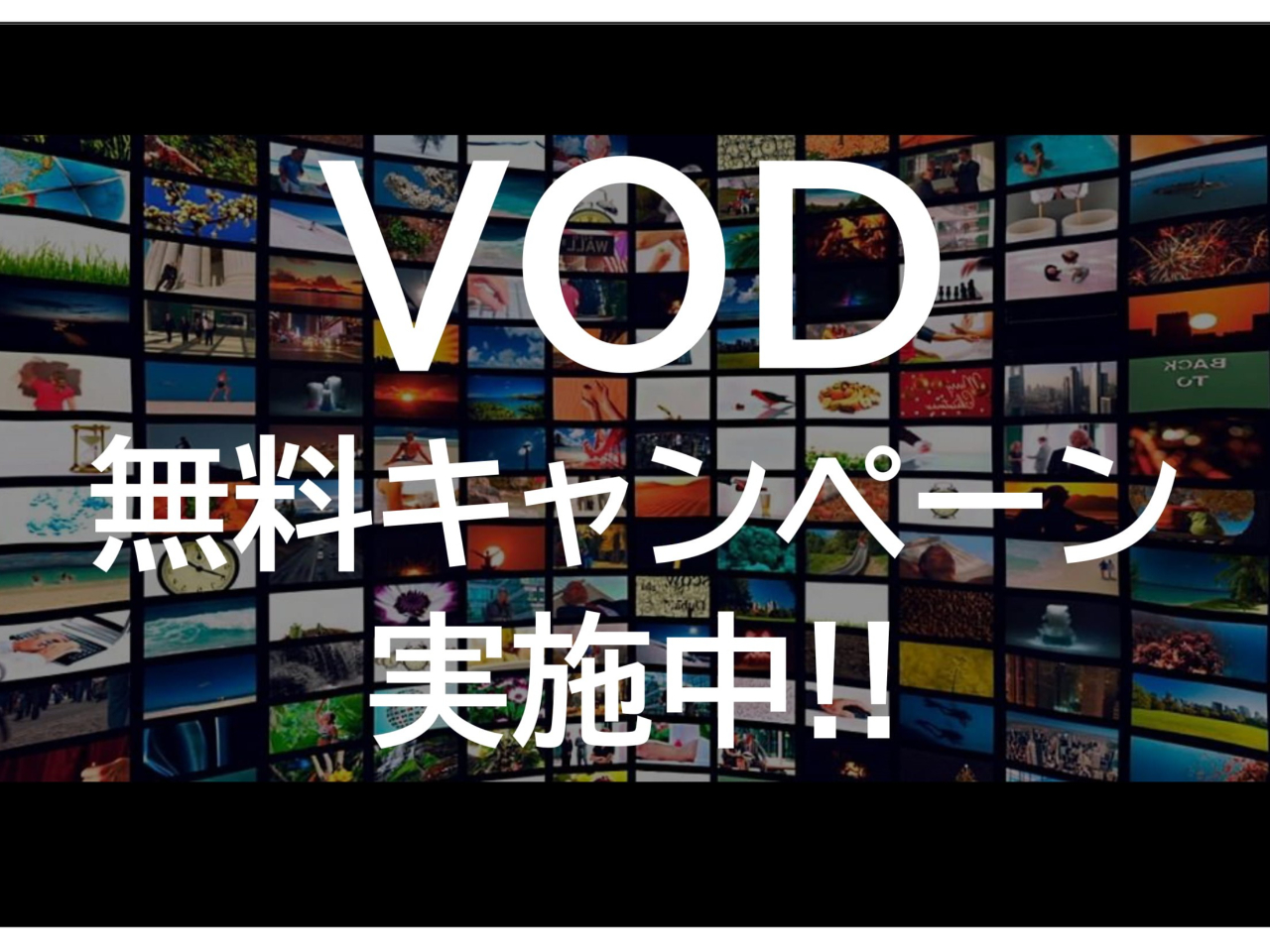 ルームシアターが見放題!!