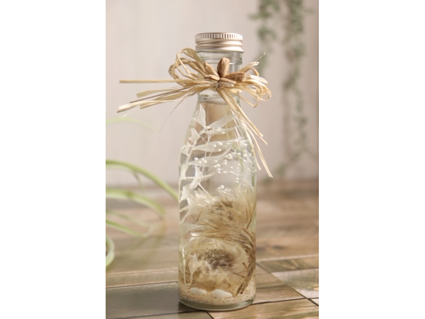 tBJƃzCg̃XJXAݑŗD₩Ɂ