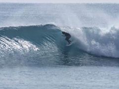 宮崎サーフガイドひまわりのレジャー アクティビティ じゃらん遊び体験 宮崎サーフガイドひまわりのレジャー アクティビティ じゃらん遊び体験