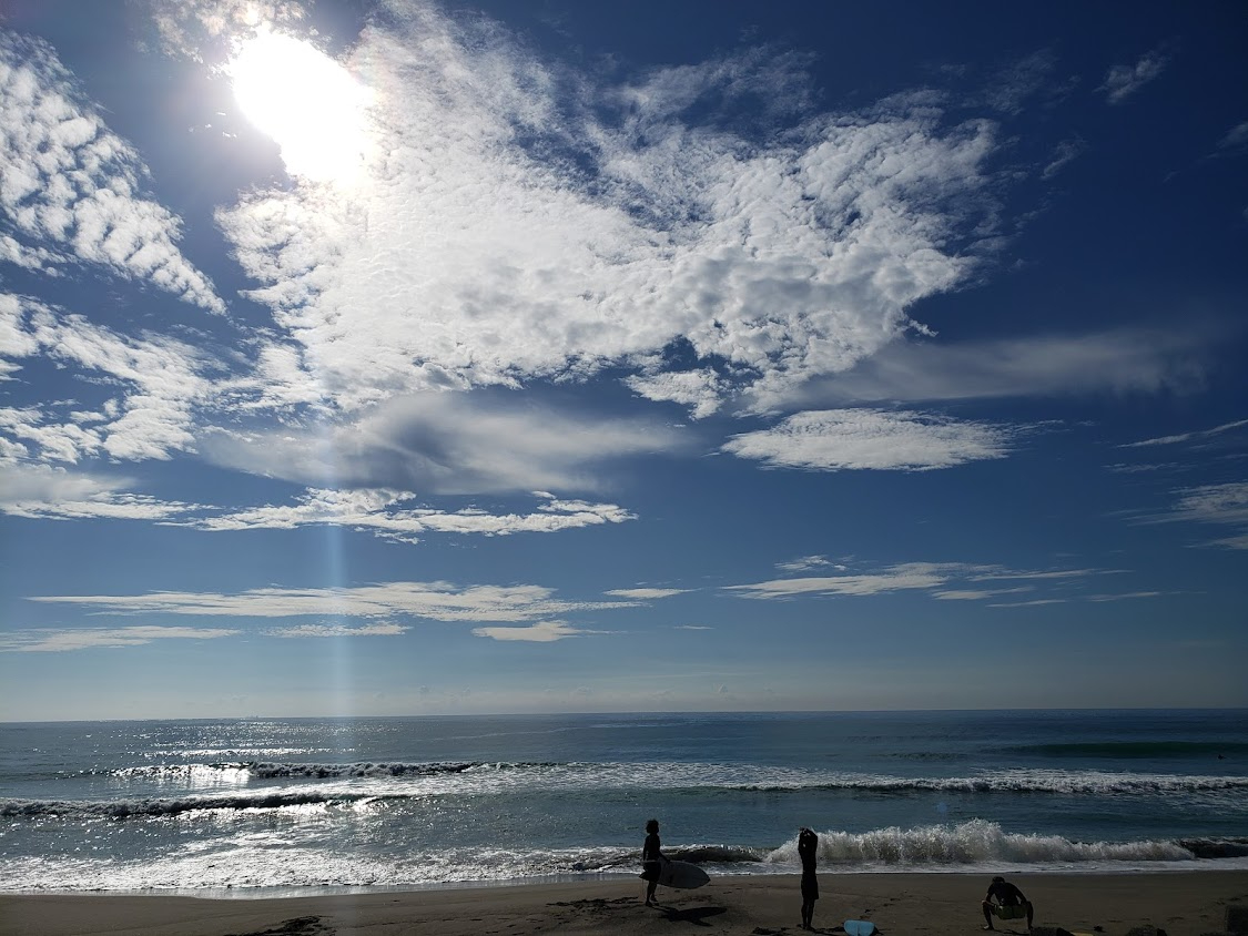 �{��T�[�t�K�C�h�Ђ܂��̎ʐ^3