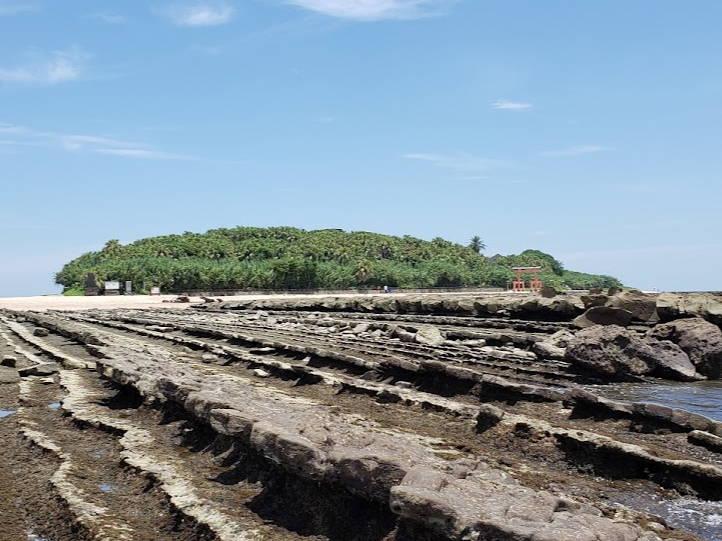 �{��T�[�t�K�C�h�Ђ܂��̎ʐ^4