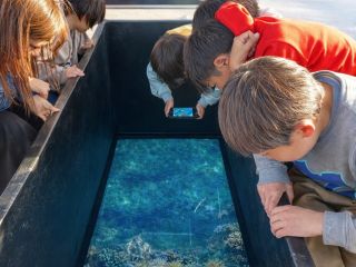 グラスボートから覗く伊勢志摩の海